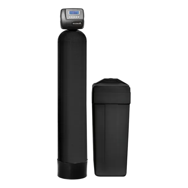 Ecosoft Bi-Block 16x65 well water softener with 1” CE valve, buy